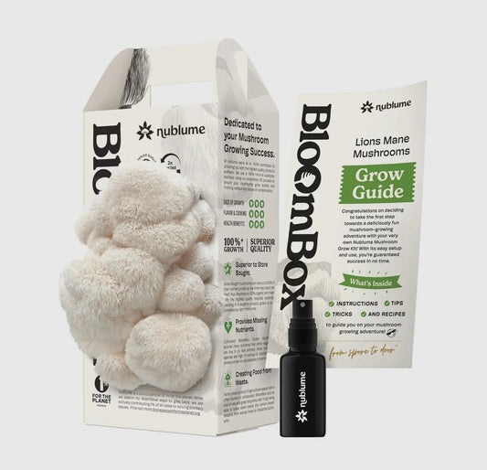 BloomBox Mushroom Kit- Lions Mane