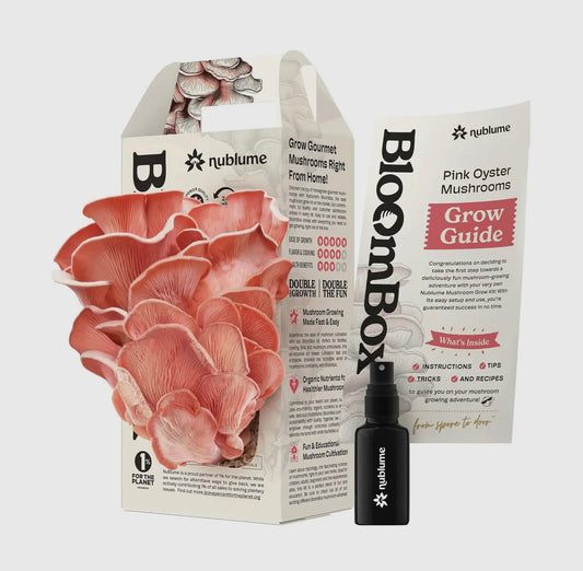 BloomBox Pink Oyster Mushroom Kit