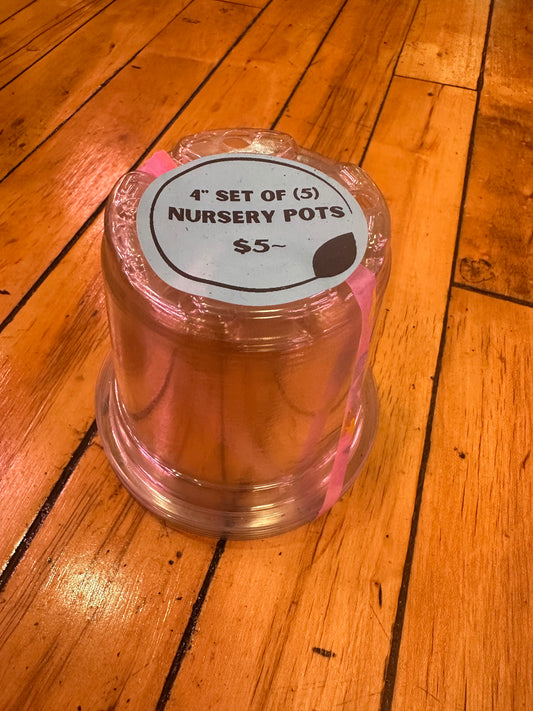 4” Clear Nursery Pots Set of 4