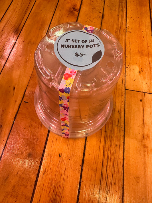 5” Clear Nursery Pots Set of 4