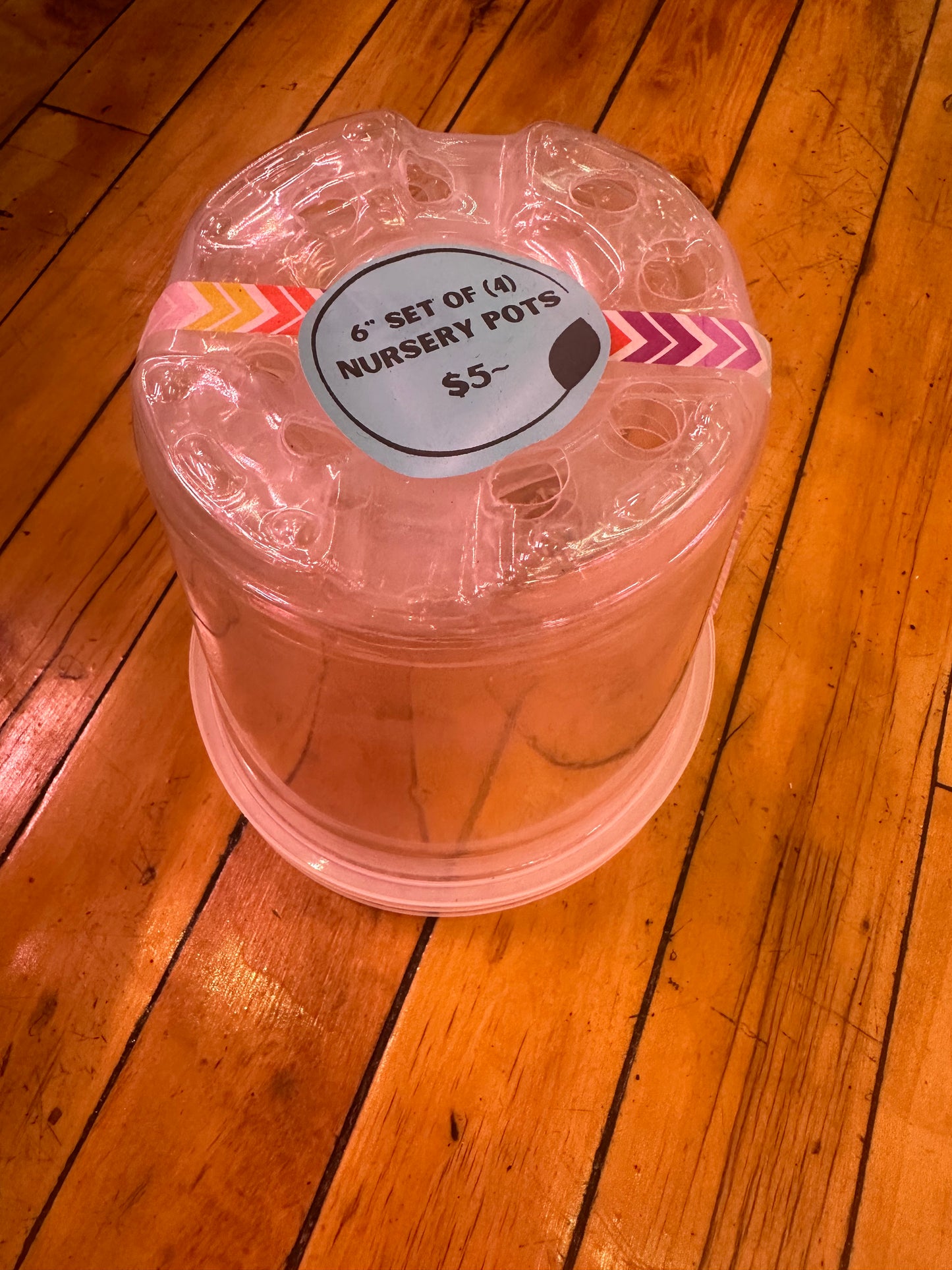 6” Clear Nursery Pots Set of 4
