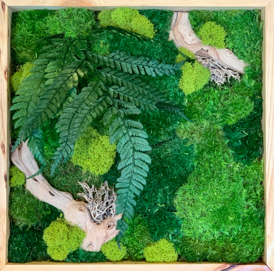 Thursday, June 25th-6pm: Preserved Moss Art Workshop with Shyla  $40