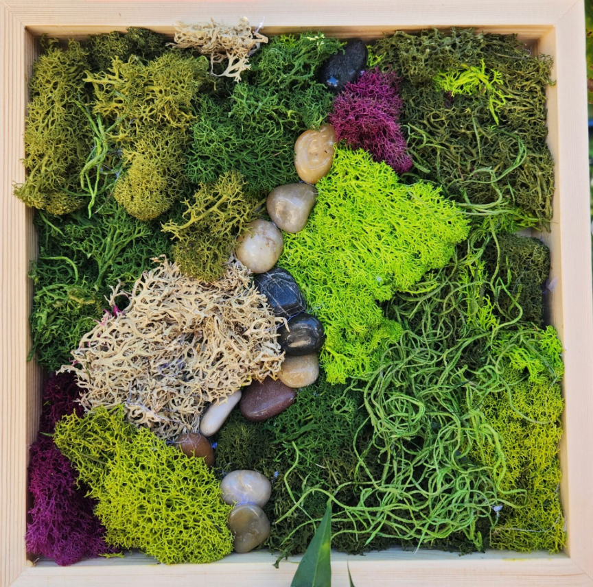 Thursday, June 25th-6pm: Preserved Moss Art Workshop with Shyla  $40