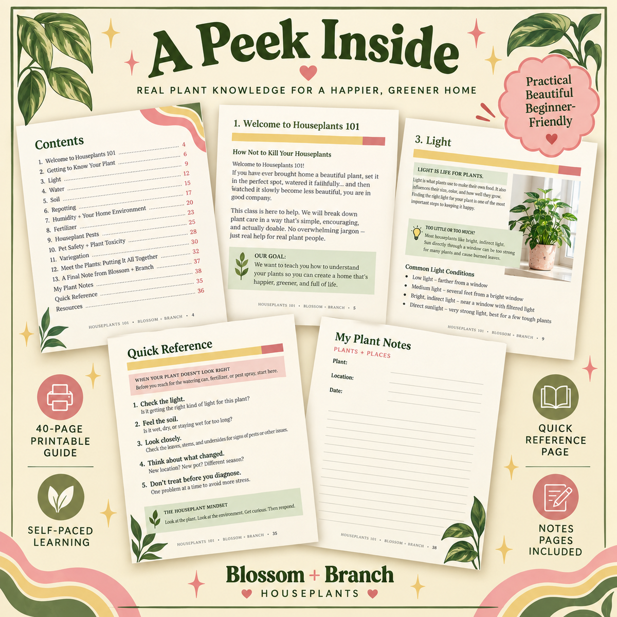 Houseplants 101 — Self-Paced Class

How Not to Kill Your Houseplants