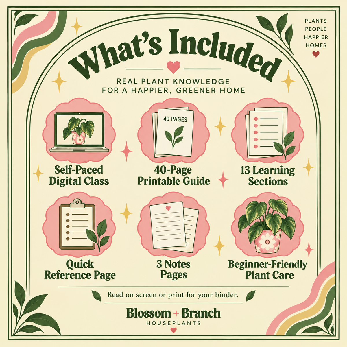 Houseplants 101 — Self-Paced Class

How Not to Kill Your Houseplants