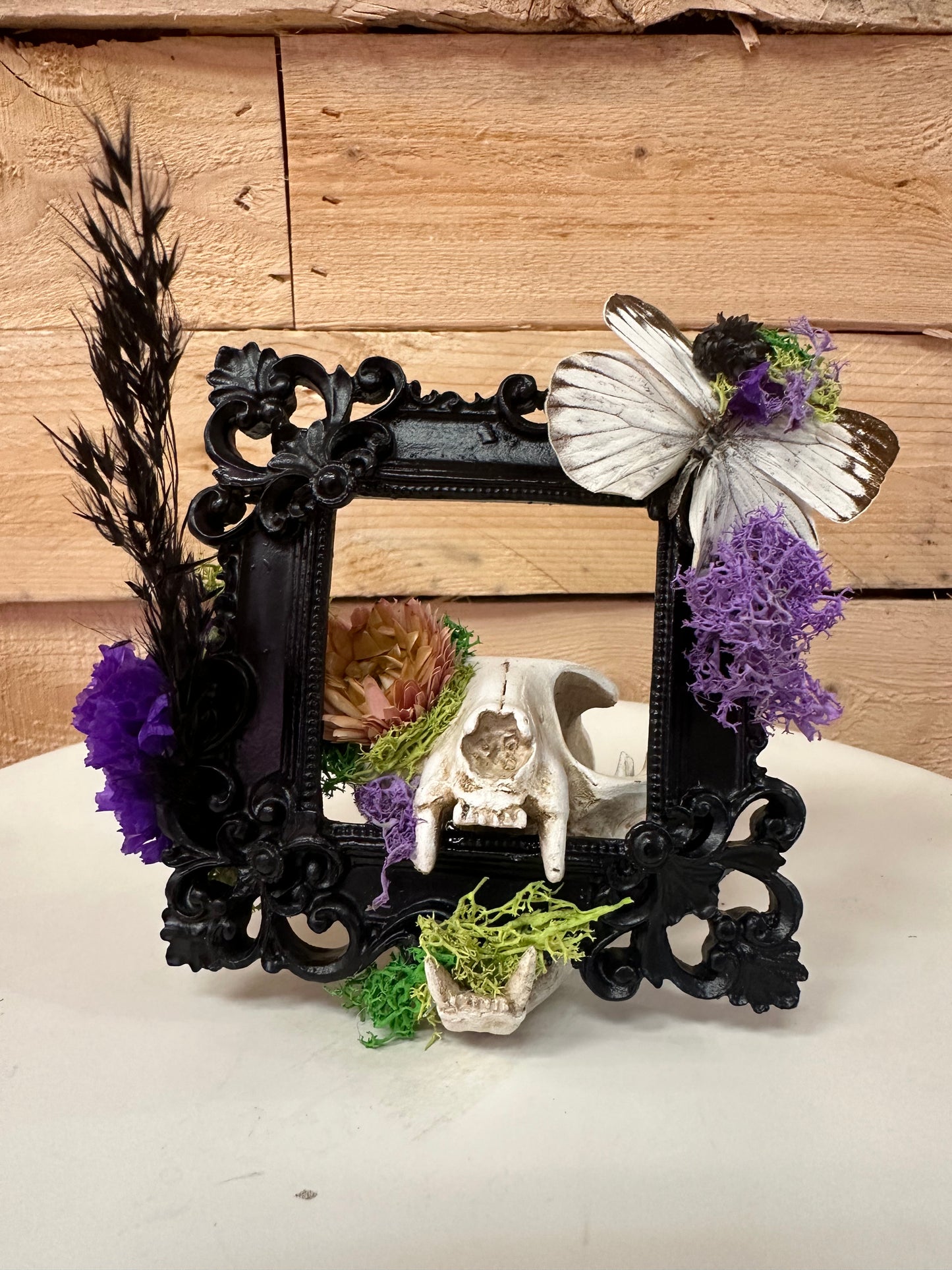 Black Frame Skull- fake skull