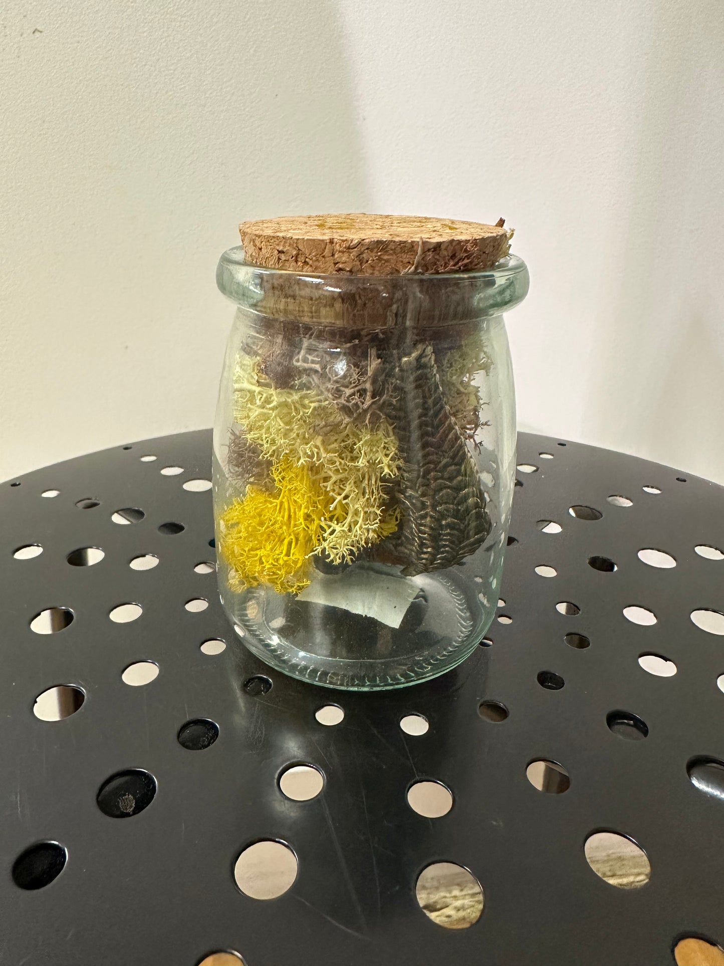 Claw Jar