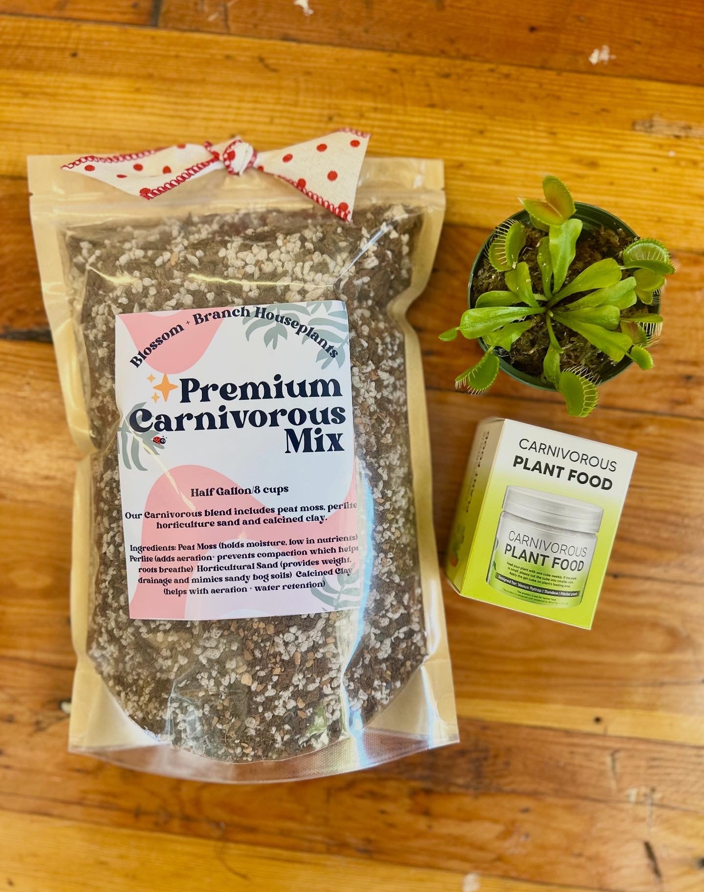 Carnivorous Mix