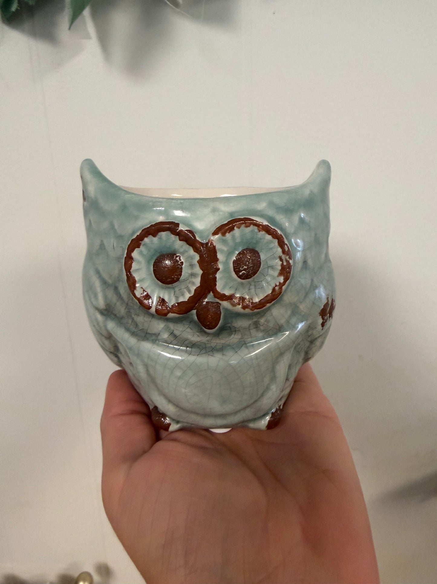 Owl Pot