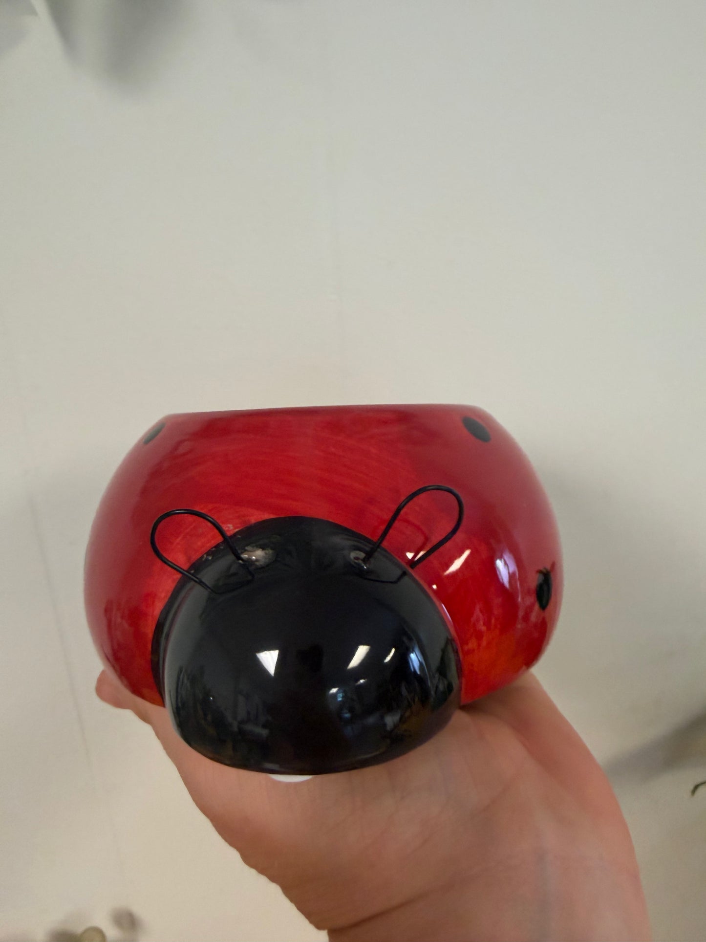 Ladybug Pot