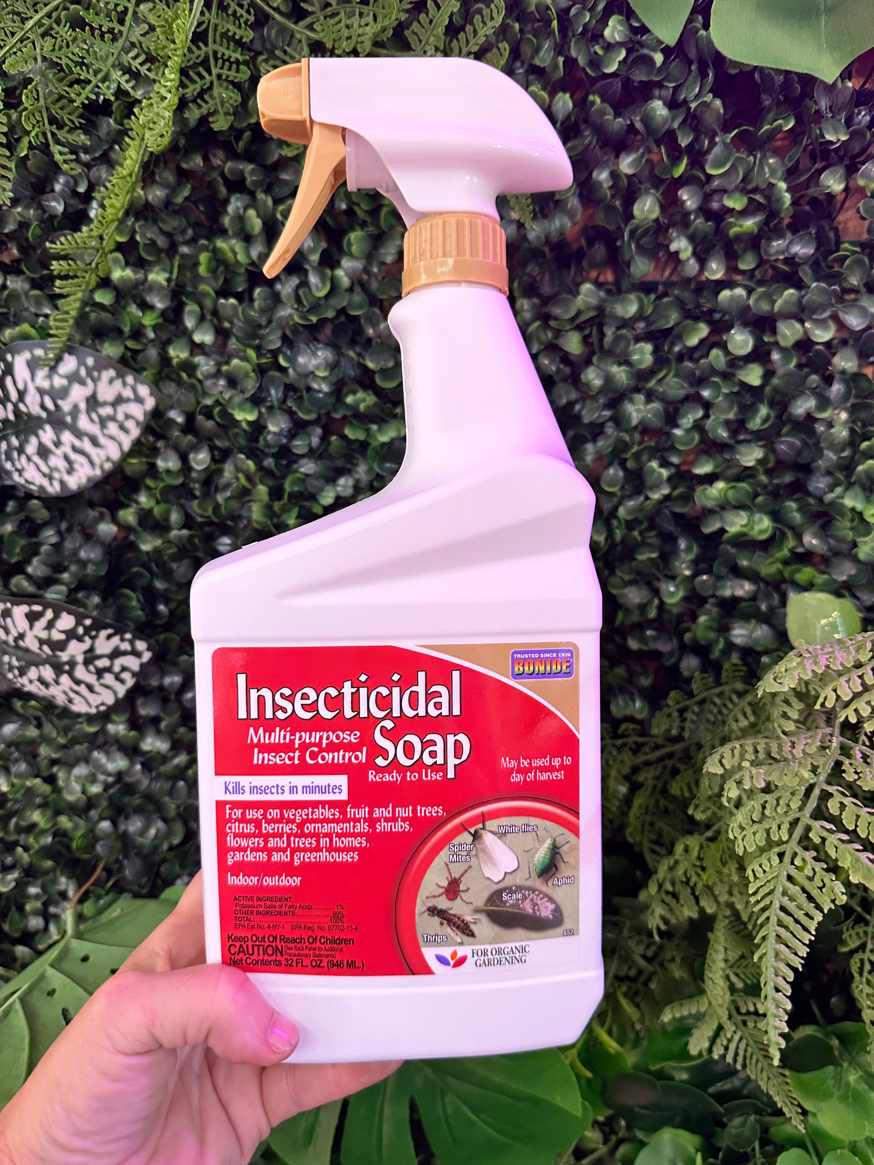 Insecticidal Soap – Blossom + Branch Houseplants