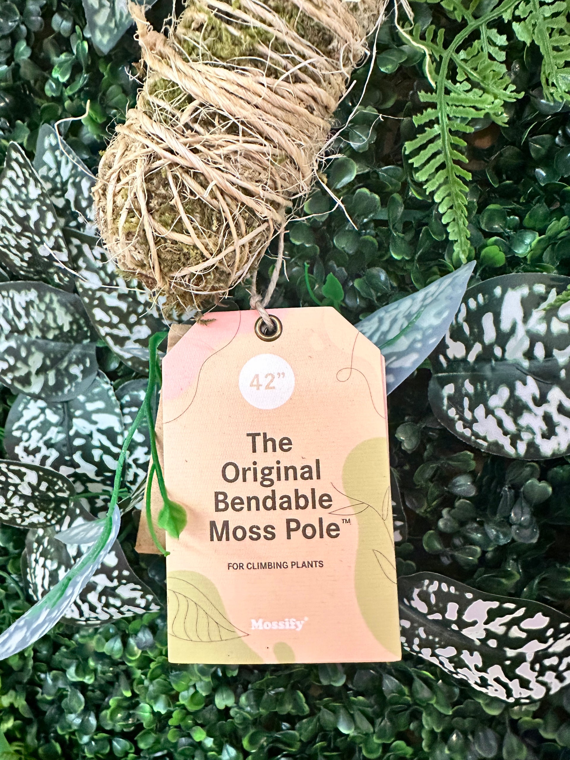 mossify bendable moss pole Moss Pole Bendable 42" Large – Blossom + Branch Houseplants