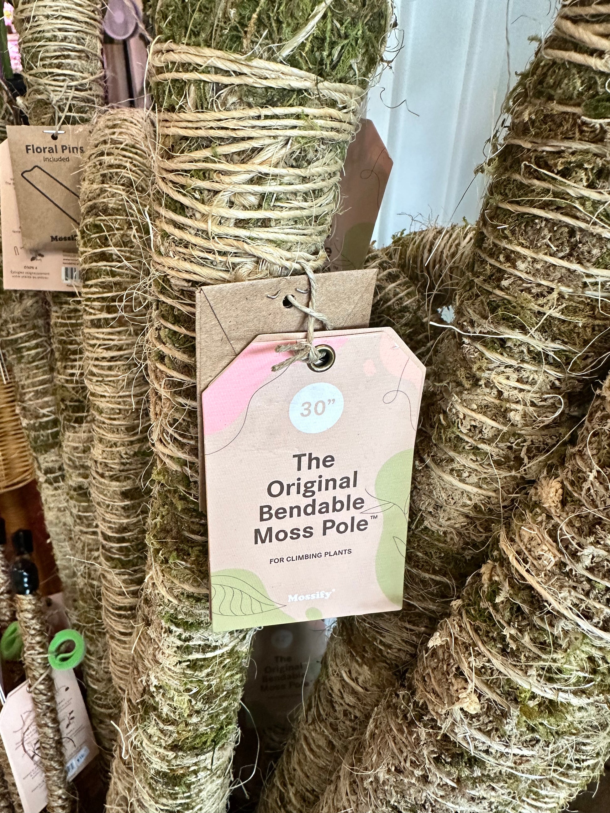 bendable moss pole Moss Pole 30" (medium) Bendable – Blossom + Branch Houseplants