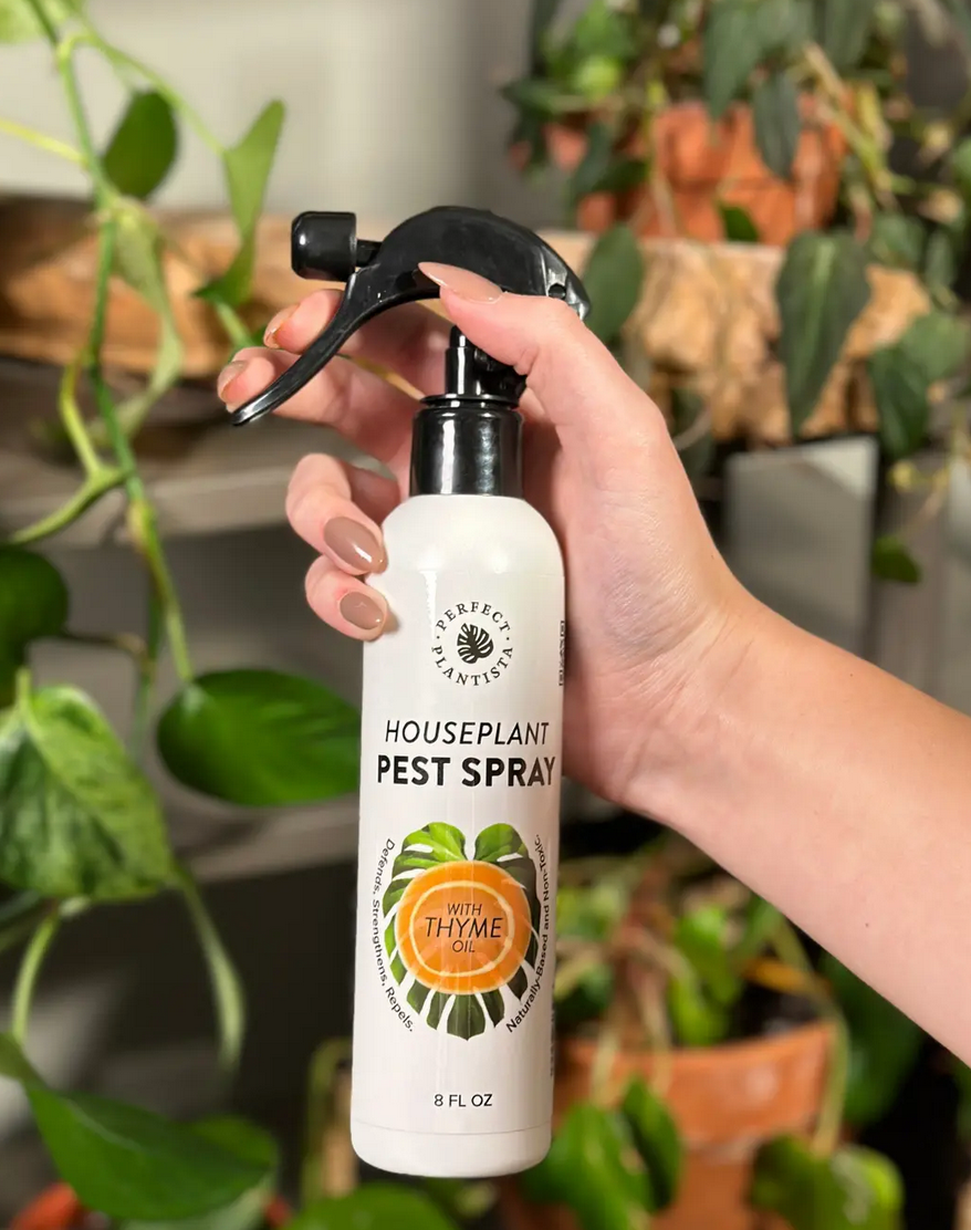 Perfect Plantista Pest Spray