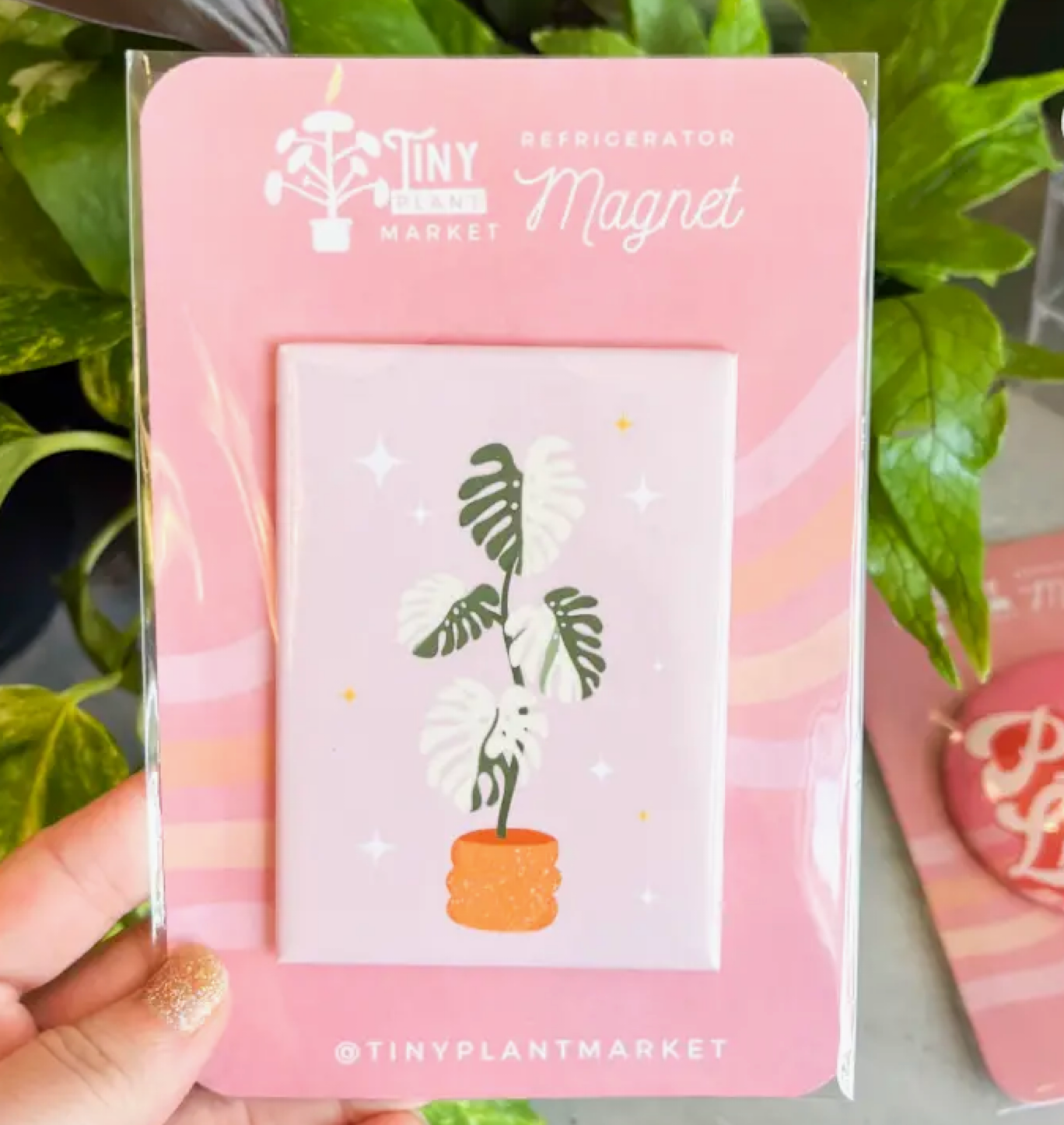 Monstera Plant Magnet