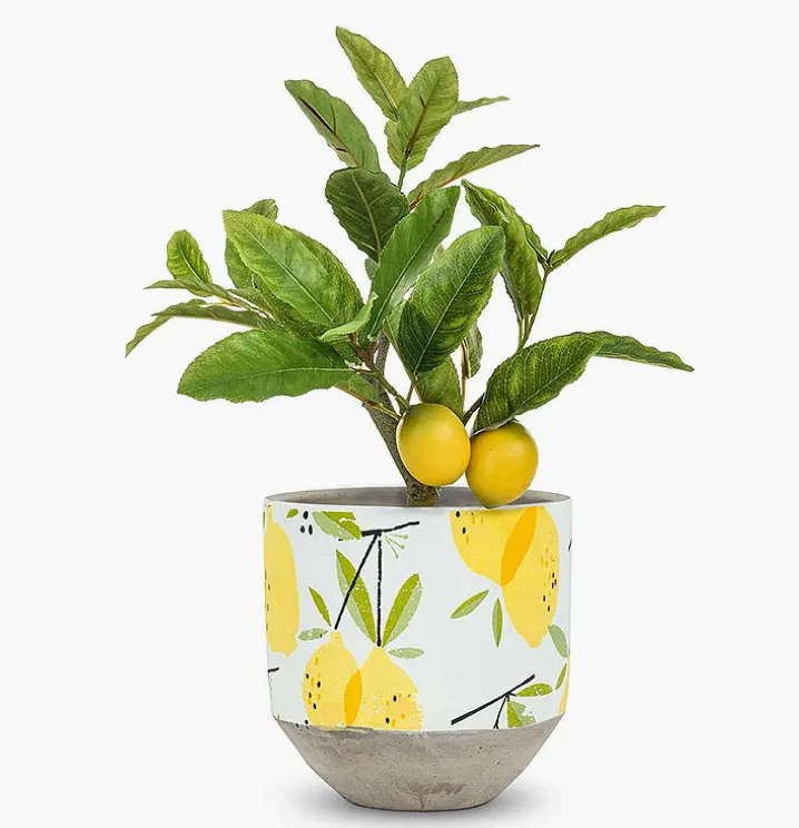 Lemon Planter