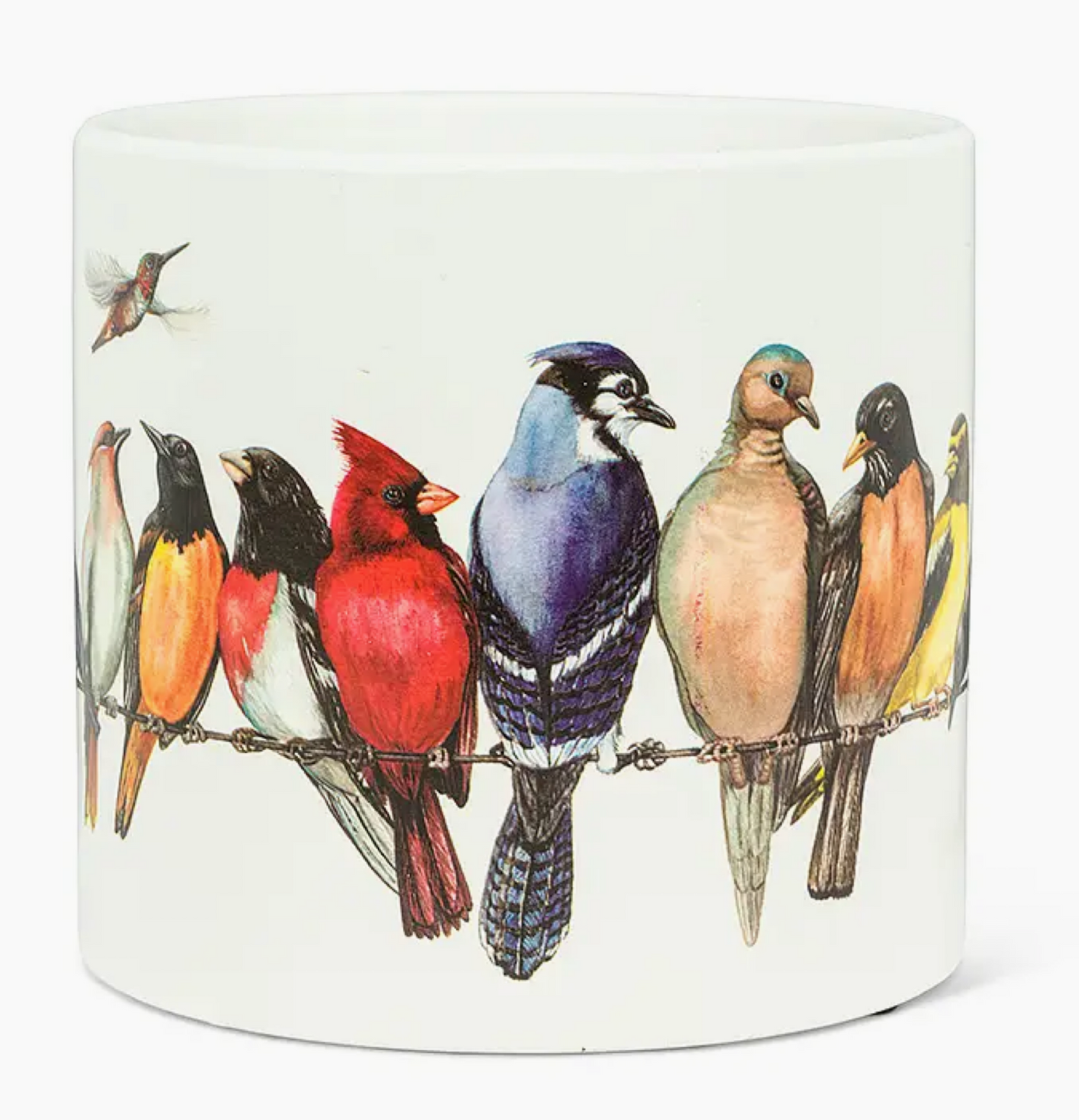 Birds on Wire Lg 6.5