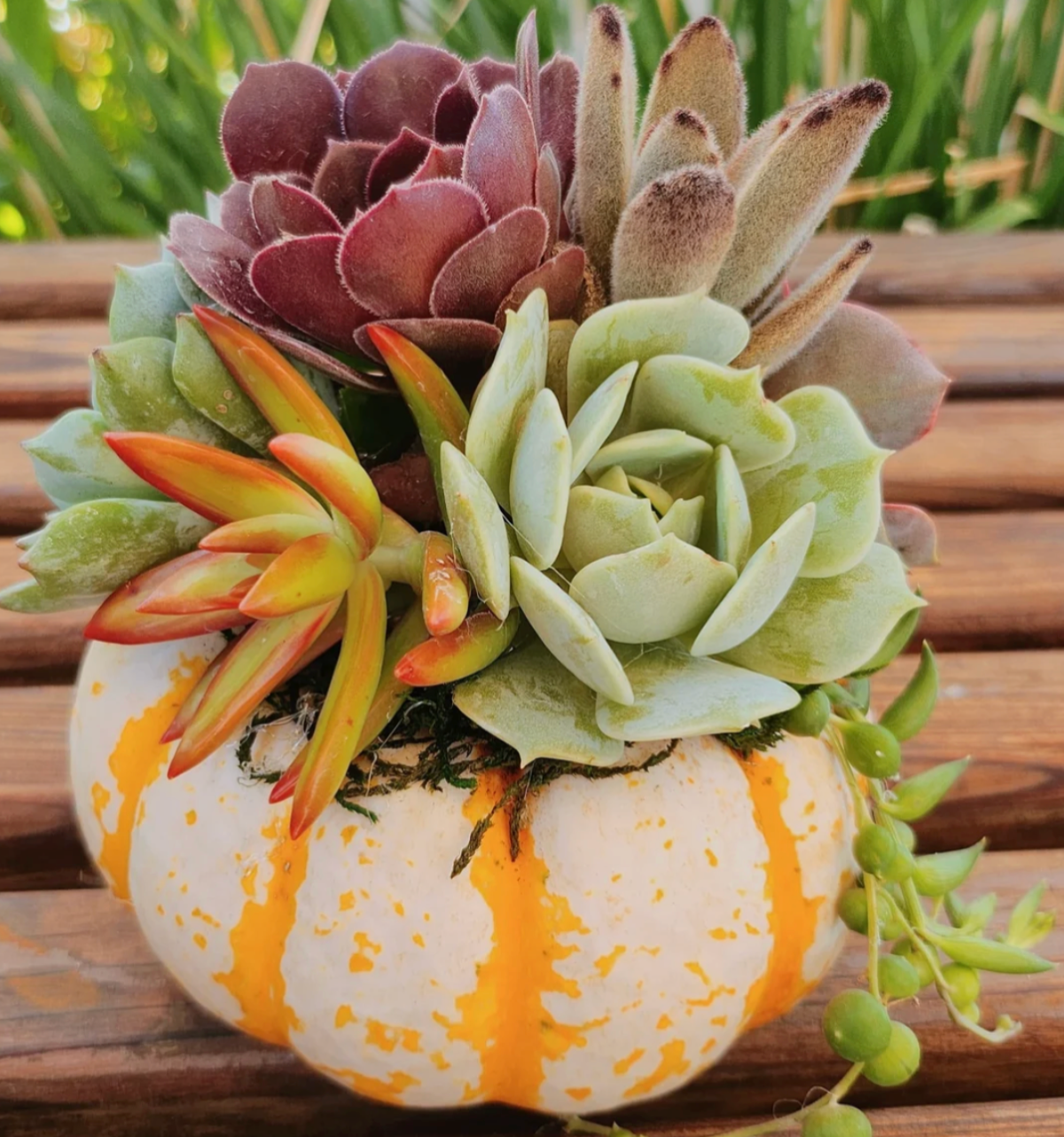 Make + Take: Saturday, Oct. 18th 11am-1pm $15