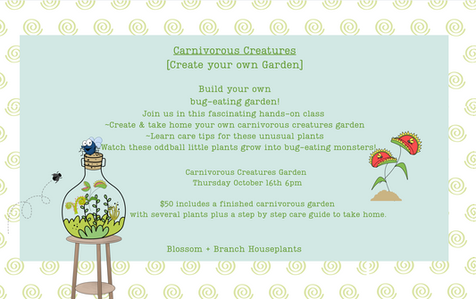 Thursday, Oct. 16  6pm~ Carnivorous Creatures: Create your own Garden