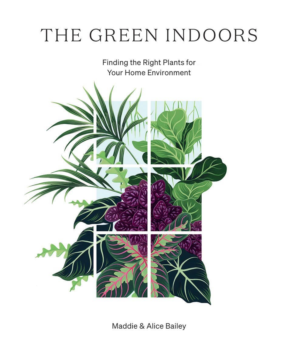 Green Indoors: Finding the Right Plants for Your Home