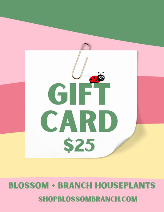 Blossom + Branch Gift Card