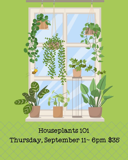 Class:  Thursday, September 11~ Houseplants 101 with Shyla  $35  6pm
