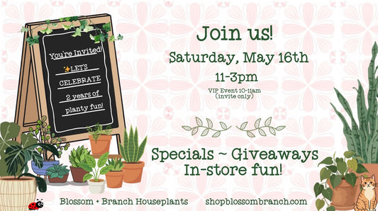 Blossom + Branch 2 year celebration!  May 16th 11am-3pm