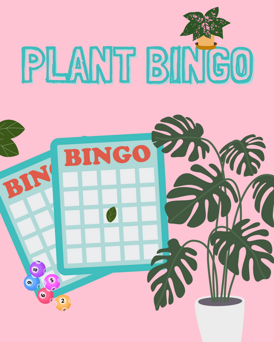 🪩 EVENT! Thursday, November 14th 6:30pm~Plant Store After Dark: Bingo Edition